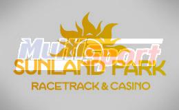 Imagen con marca de agua